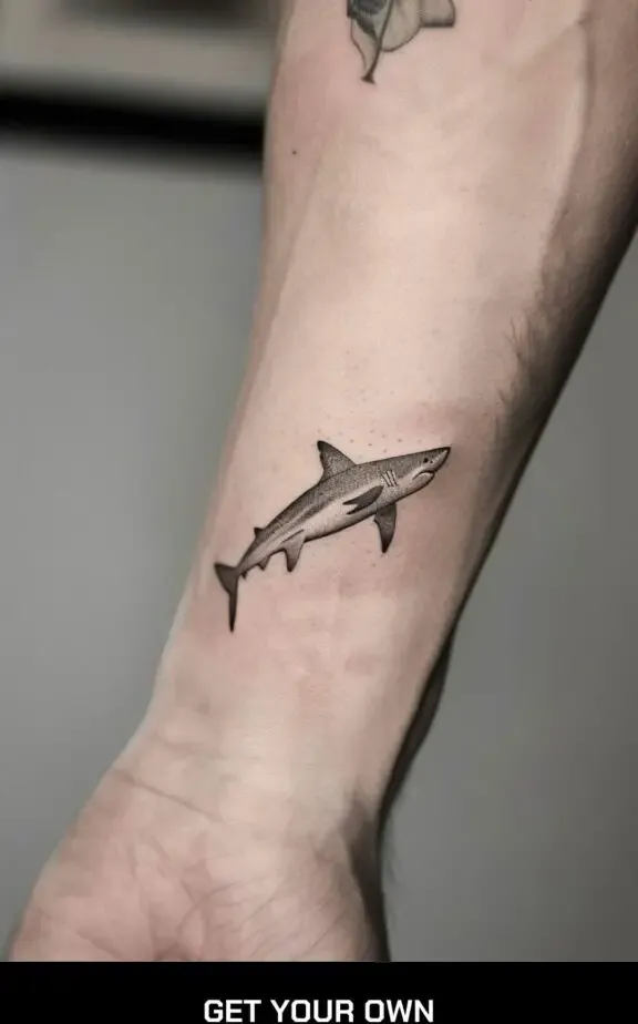 shark tattoo idea