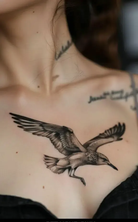 Seagull Bird Chest Tattoos Females