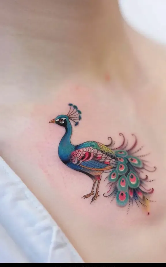 Peacock Bird Chest Tattoos Females